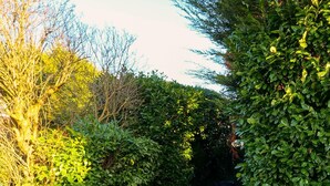A garden area with potted plants, a bench, and a table. - Apt w Garden Oasis in Finchley (London)