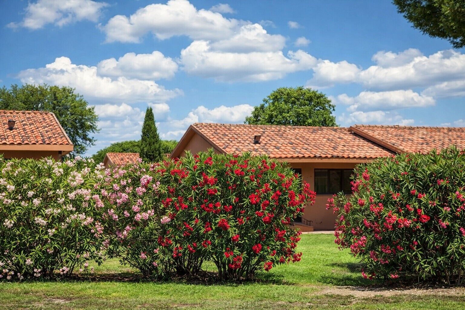 Jardines del alojamiento