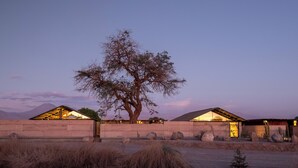 A desert landscape with a large tree, a building with a sloped roof, and a clear sky. - Fauna Hotel Atacama (San Pedro de Atacama)