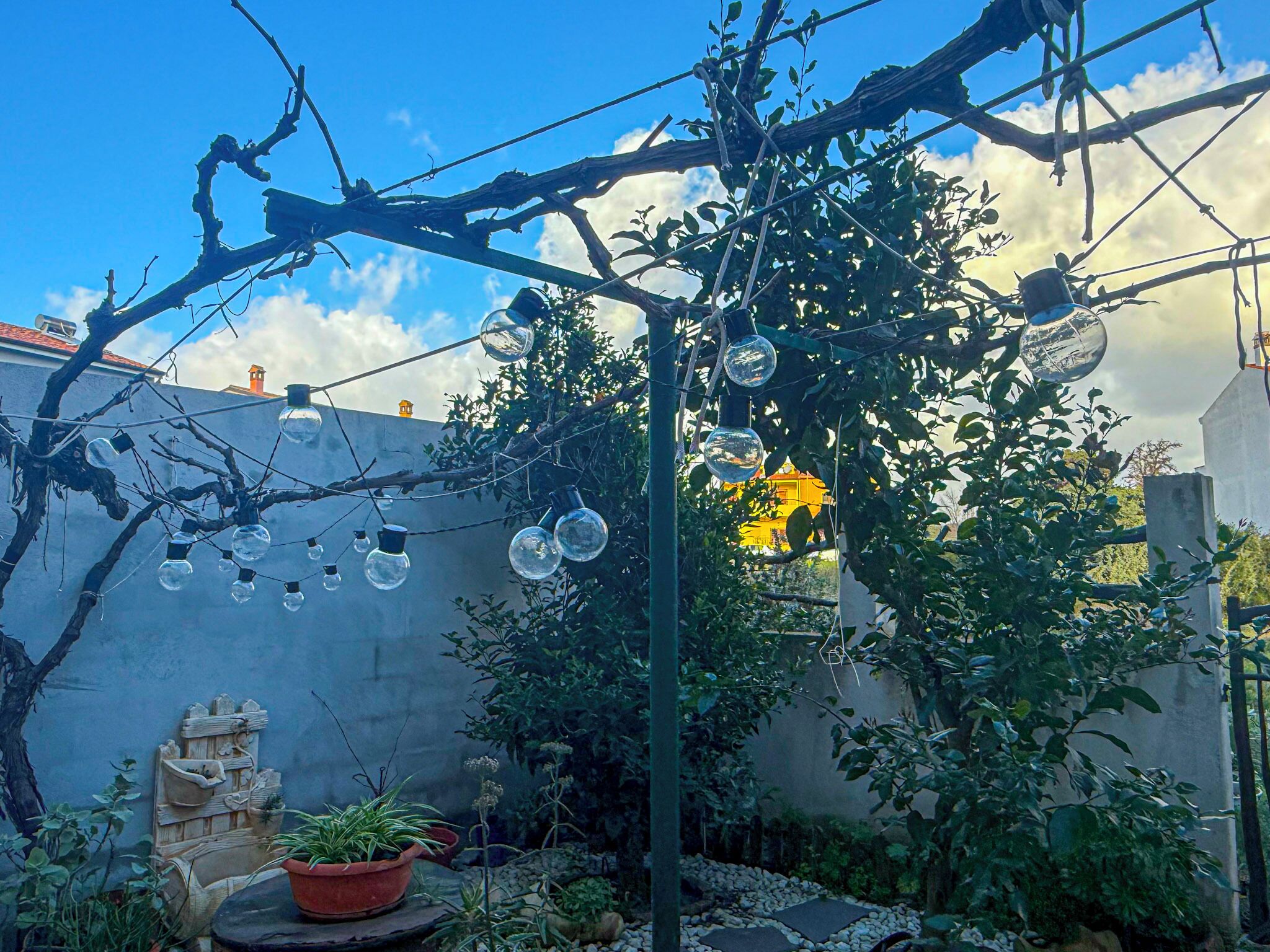 Jardí amb una pèrgola, plantes en testos i un camí de pedra.