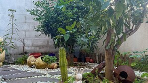 A garden with a cactus, a rabbit statue, and various potted plants. - L'ulivo (Portoscuso)