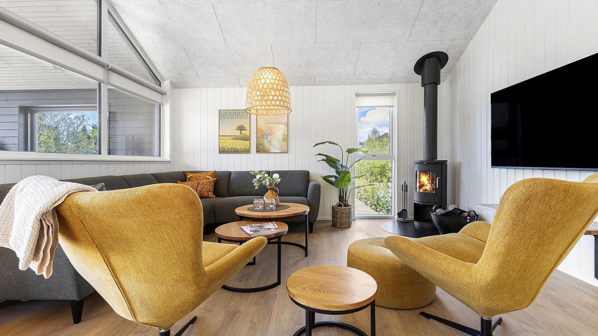 TV, fireplace, table tennis