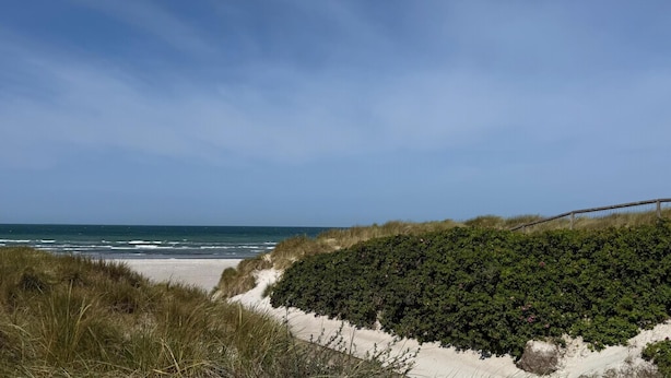 Une plage avec des dunes de sable et une vue dégagée sur l’océan.