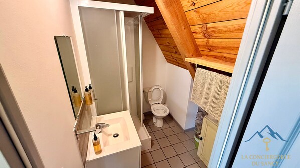A small bathroom with a toilet, sink, and mirror. - La Grange BOREL 12 pers Murat Le Quaire (Murat-le-Quaire)