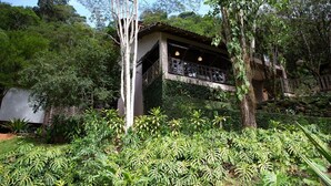 Un edificio con balcón, rodeado de abundante follaje y árboles.