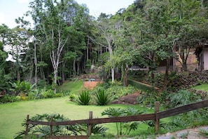 Un jardin luxuriant, agrémenté d’une clôture en bois, d’une grande variété de plantes et d’un mur en pierre.
