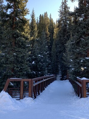 Property grounds - Custom 4BR/4BA ski-in townhome, private hot tub at Copper Mountain, 184A (Copper Mountain)
