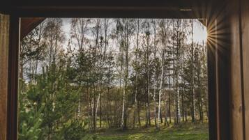 Vista per una finestra amb un paisatge forestal, incloent arbres i una zona verda.