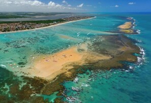 Plage à proximité, chaises longues, serviettes de plage