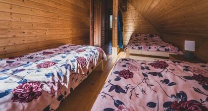 Holiday home with private pond, jacuzzi and sauna