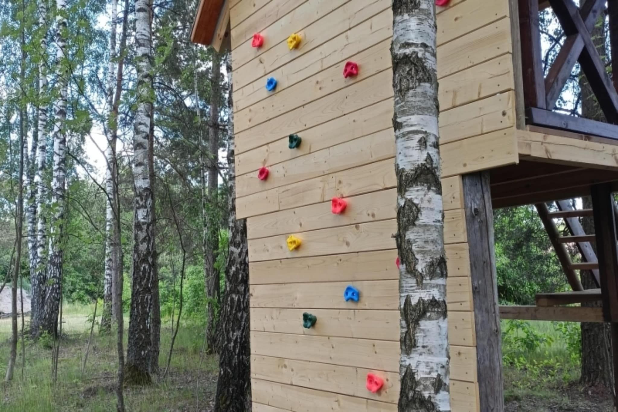 Een houten klimmuur met kleurrijke grepen, omgeven door bomen.