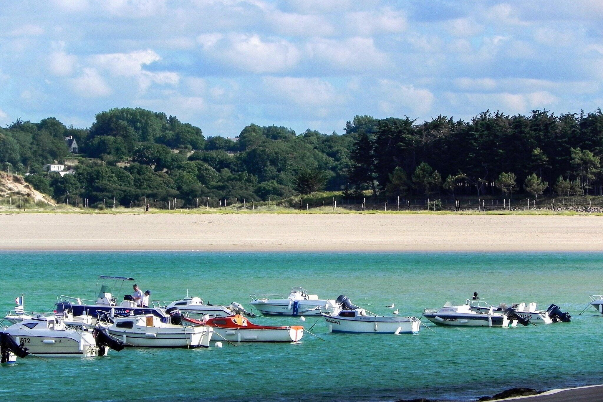 Marina