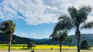 Paesaggio con alberi, un sentiero e una vista lontana su campi e colline verdi.