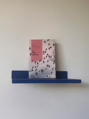 A book titled "CRIS ZURUTUZA LA VIDA LÁCTEA" on a blue shelf against a plain wall. - Cozy studio apartment in marvelous Palermo, Arcos District with AC and balcony (Buenos Aires)
