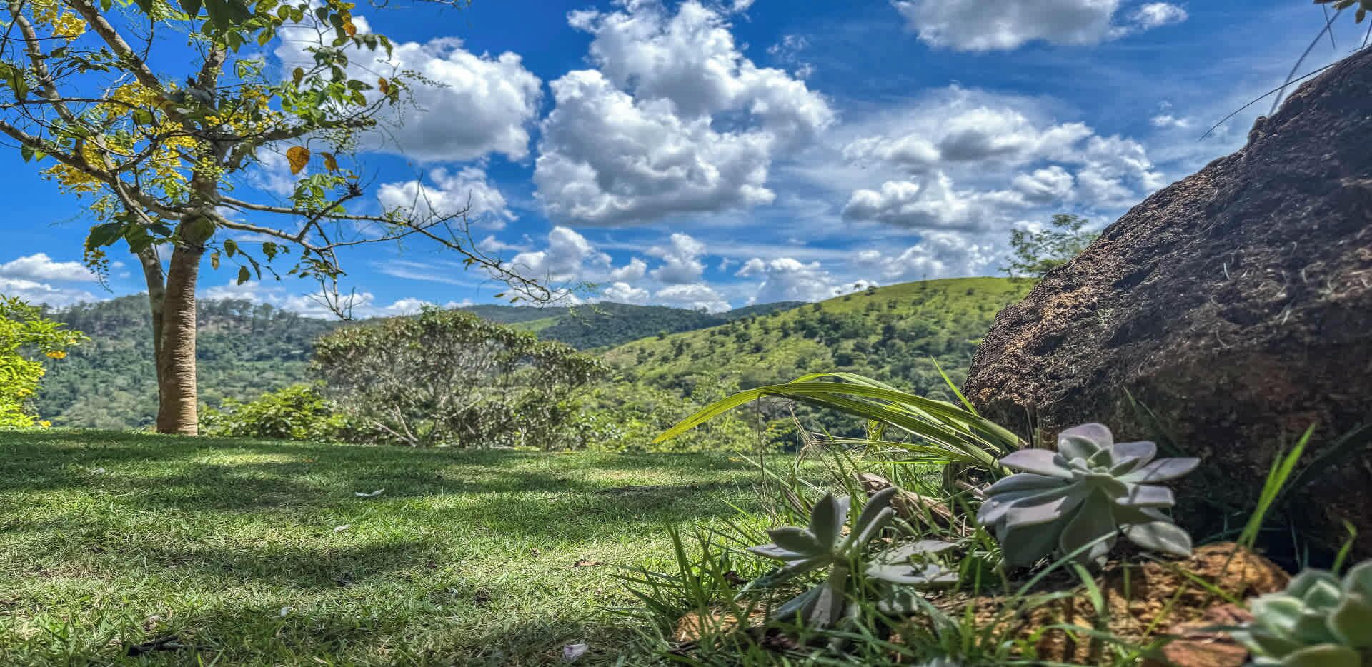 Área da propriedade
