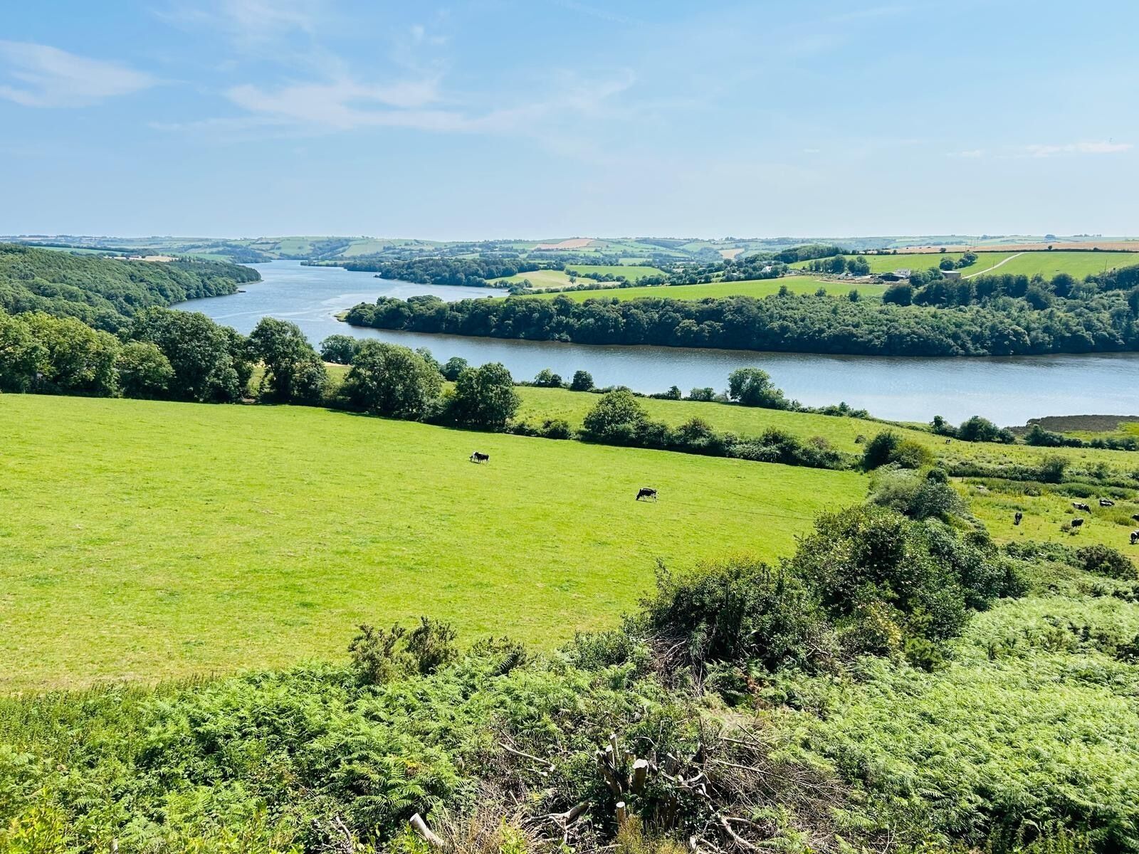 A river meandering through a lush green landscape with fields and trees.