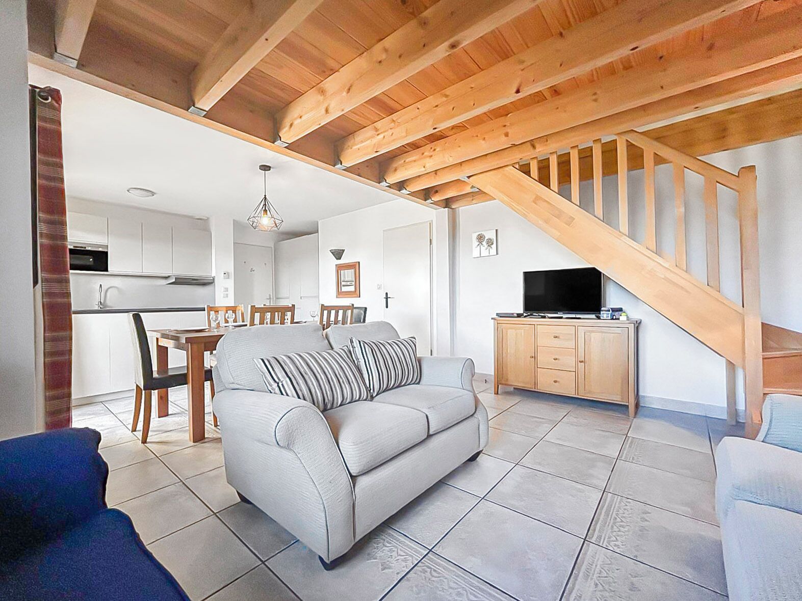 Televisión y libros 