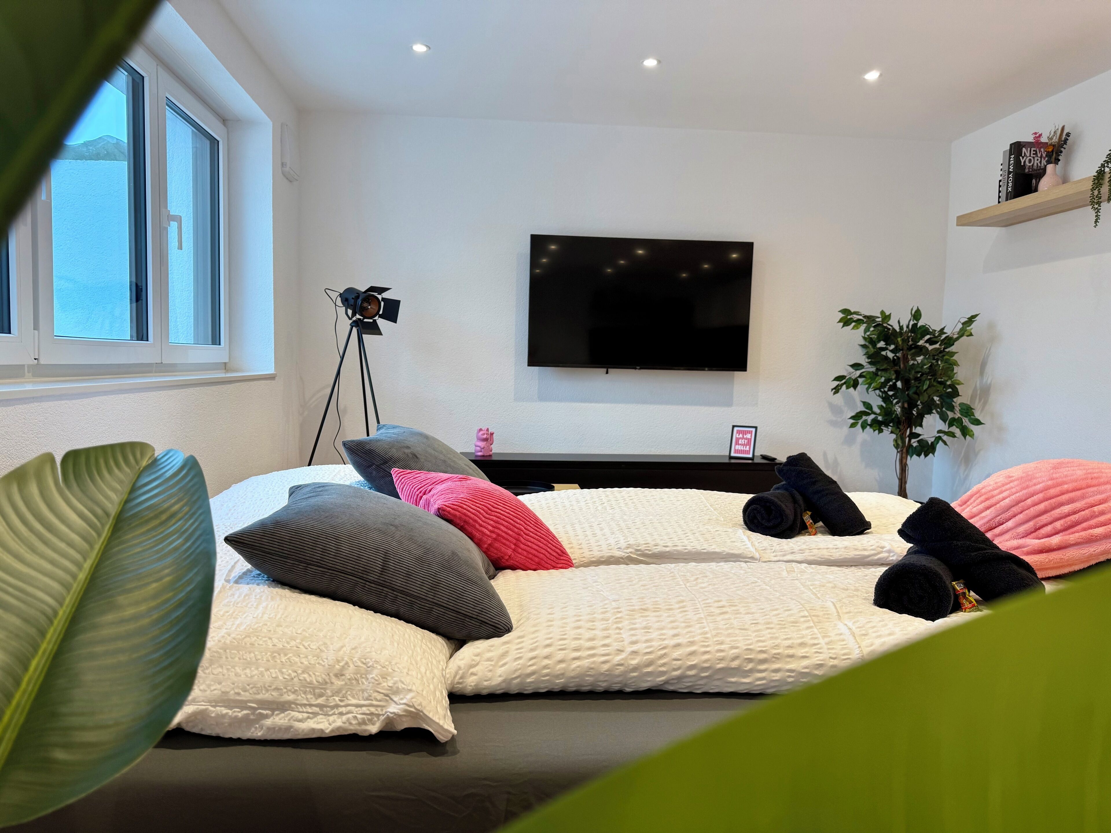 gemütliche Schlafcouch (160x200) im Wohnzimmer