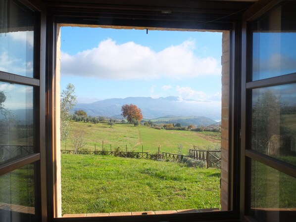 Vista a través de una ventana que muestra un campo verde, un árbol, una cerca y montañas a lo lejos.
