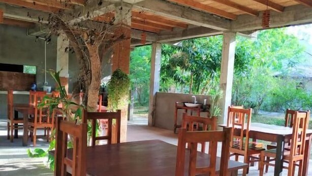 An open-air dining area with wooden tables and chairs, a large tree, and a view of greenery outside. - lavish eco jungle (Weerawila)