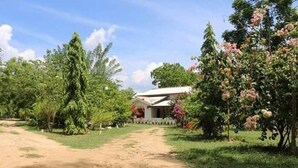 A dirt path leading to a building surrounded by lush greenery and flowering trees. - lavish eco jungle (Weerawila)