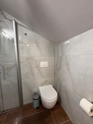 淋浴设施、毛巾、卫生纸