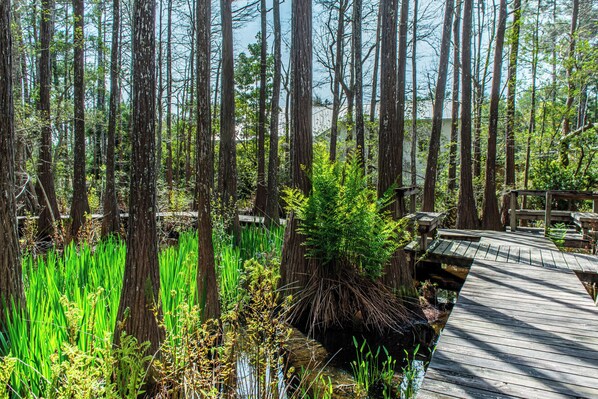 Enceinte de l’hébergement