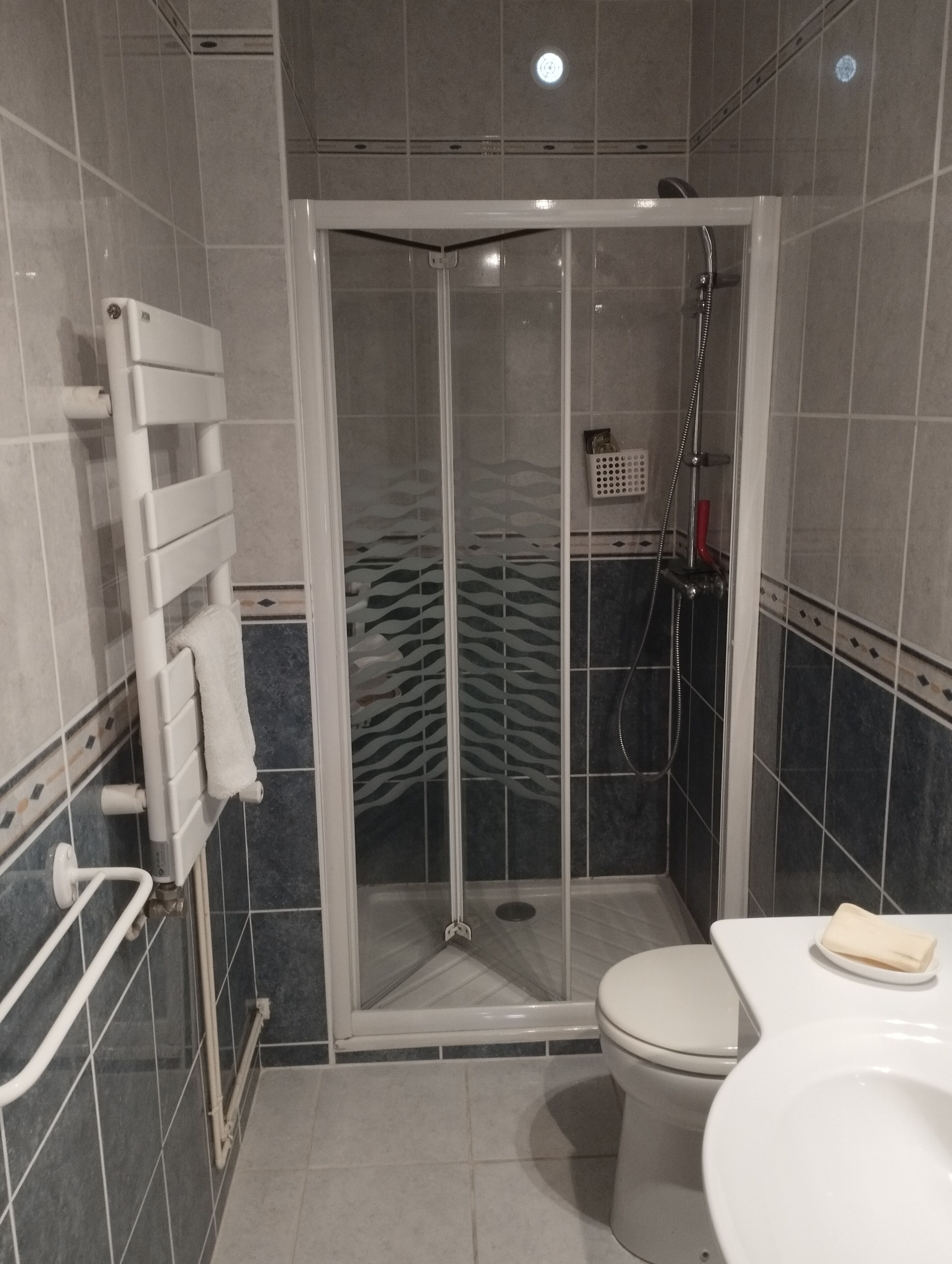 Et moderne badeværelse med et glasafskærmet brusebad, et hvidt toilet og en håndklædestang.