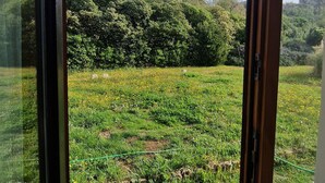 A view through a window with a grassy field, trees, and a clear sky. - Relax nel Verde 2 - One Bedroom Apartment, Sleeps 3 (Calafuria)