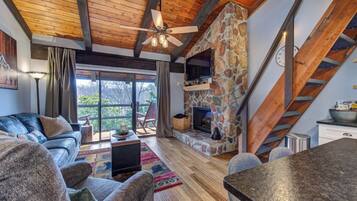 Televisión, chimenea y videojuegos