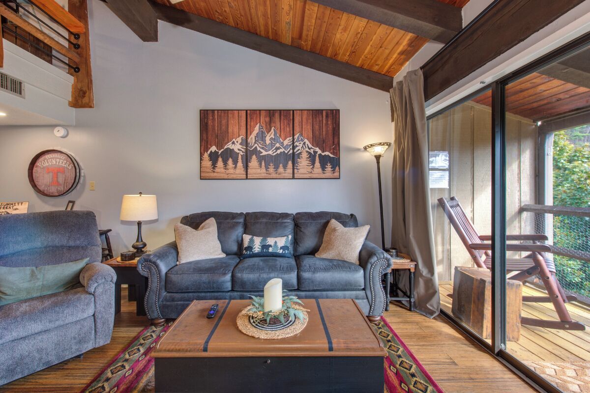 TV, fireplace, video games