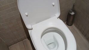 A white toilet with a closed lid, a flush handle, and a toilet brush to the right. - Superb accommodation (La Cala del Moral)