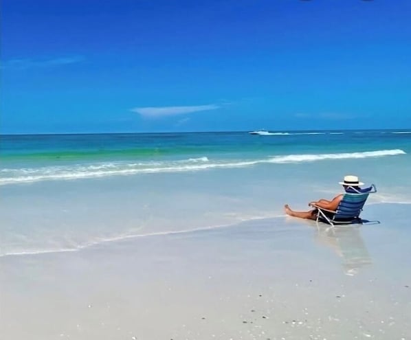 Beach - Last Minute Availability Siesta Key Dream 100 ft to Beach Walk Everywhere (Siesta Key)