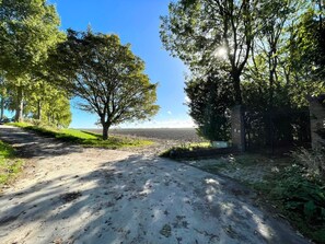 Property grounds - Former carriage house converted into a charming holiday studio with a large garden where dogs are allowed! (Kamperland)
