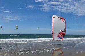 A beach with a large kiteboard in the foreground and several kites in the background.