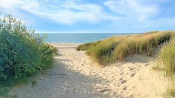Ein Sandweg am Strand, umgeben von Gras und Pflanzen.
