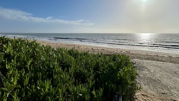 Une plage avec un ciel dégagé et un soleil éclatant.