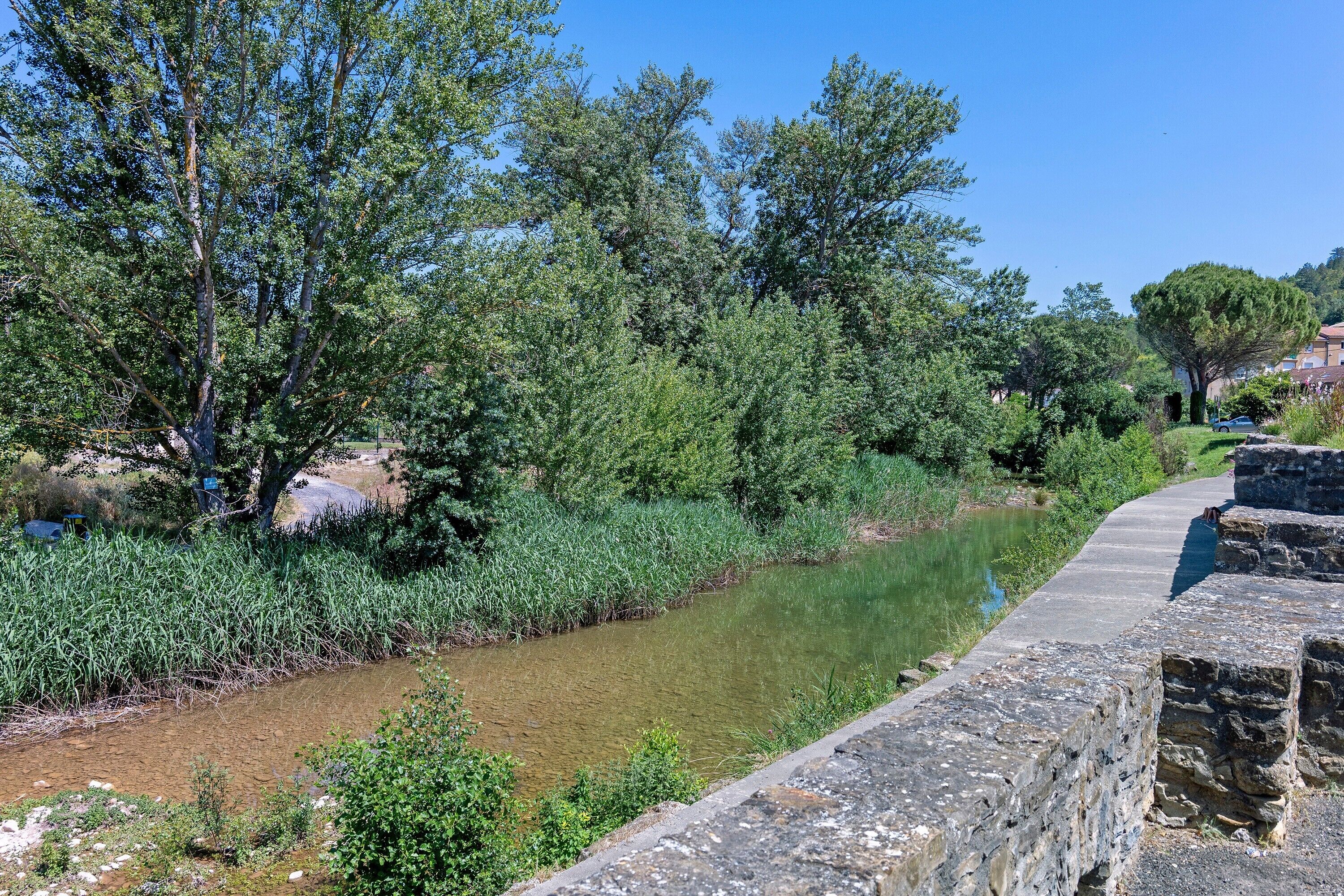 Un sentier de pierres bordant une rivière paisible, entouré d’une végétation luxuriante et d’arbres.