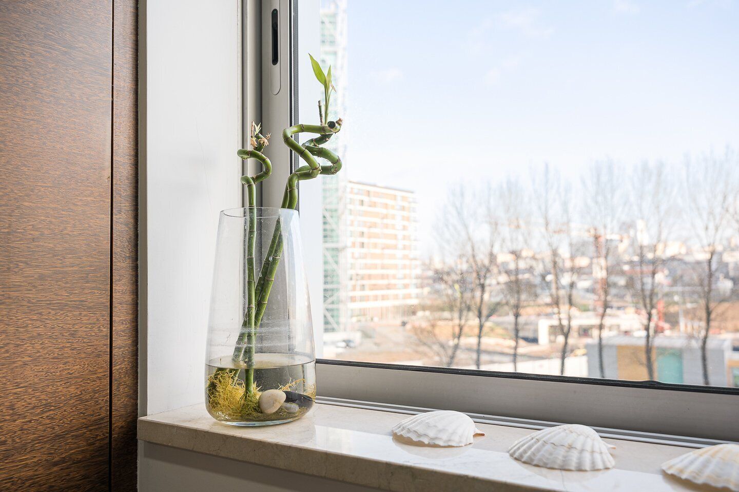 Eine transparente Glasvase mit Bambuspflanze auf einem Fensterbrett, neben einem Fenster mit Blick auf die Stadt.