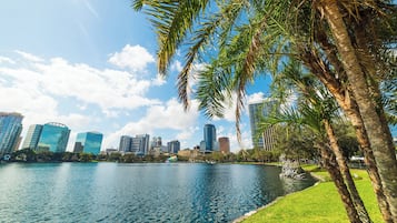 A lake with a city skyline in the background, surrounded by palm trees and a grassy area.