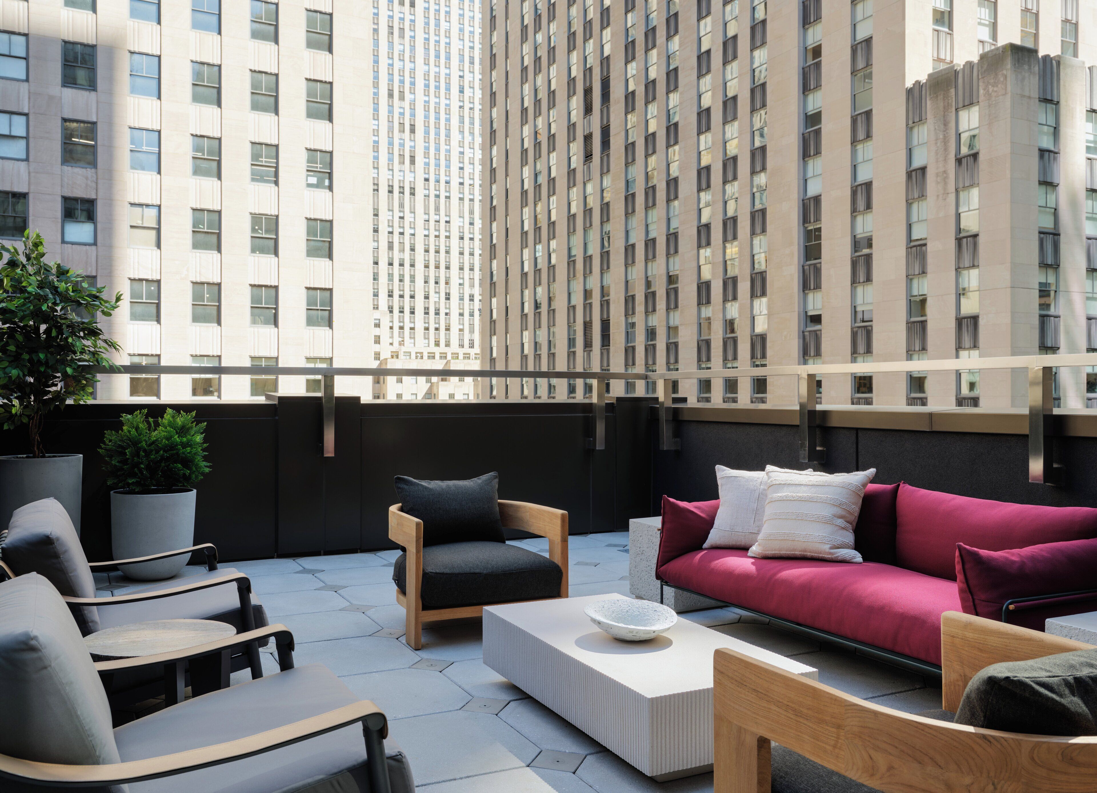 A rooftop terrace with modern furniture, a potted plant, and a view of tall buildings.