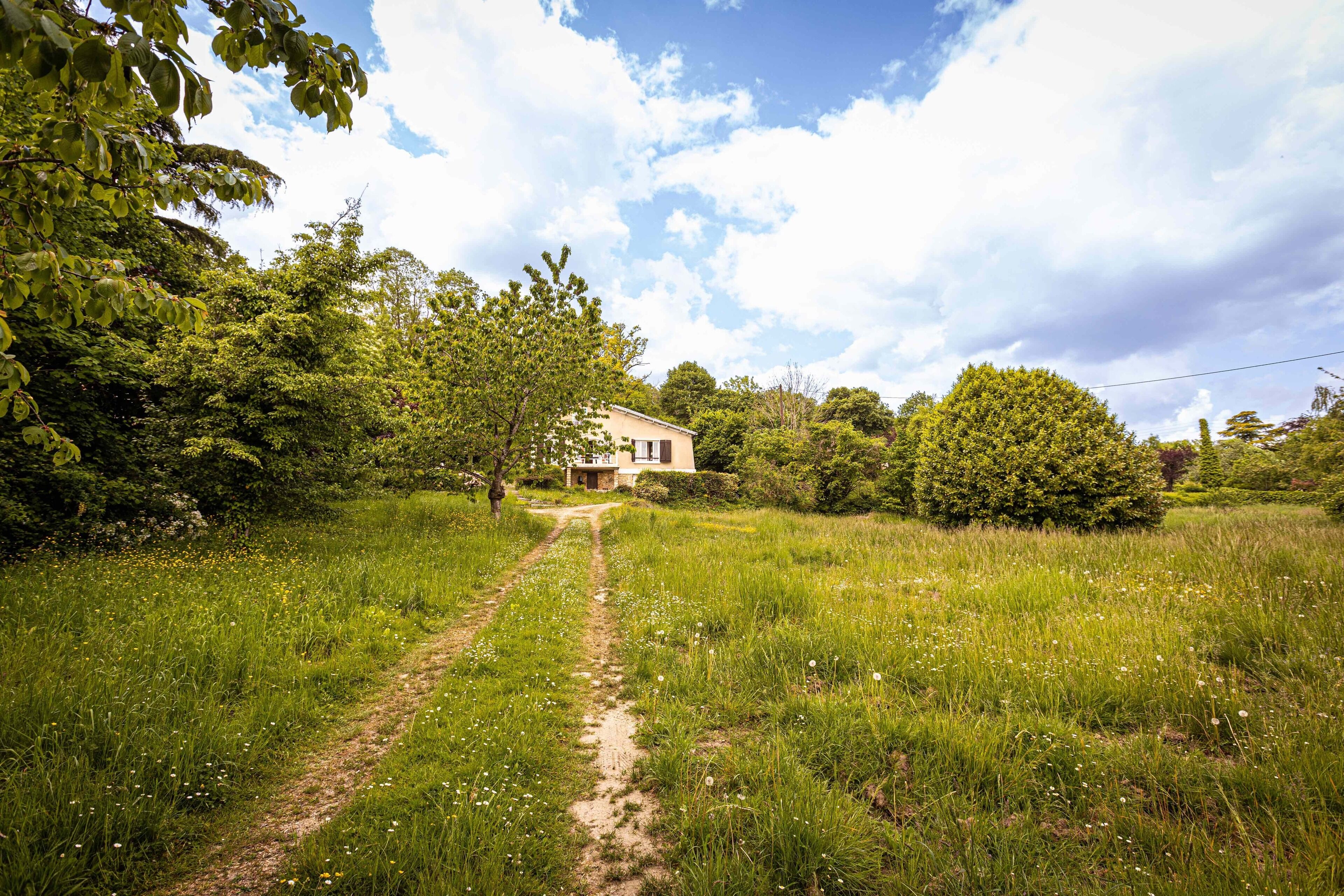 Casa rural rodeada de abundante vegetación y un camino de tierra que la lleva a ella.