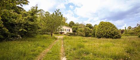 Casa rural rodeada de abundante vegetación y un camino de tierra que la lleva a ella.