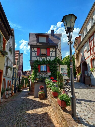 Vacation apartment Zeller Waldblick