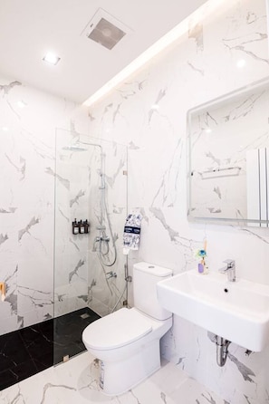 Douche, séchoir à cheveux, bidet, serviettes fournies