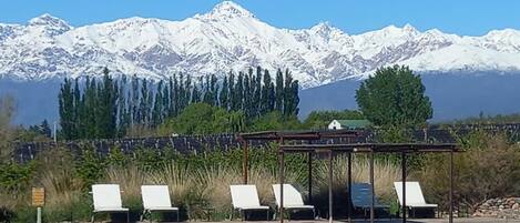 Seasonal outdoor pool, pool loungers