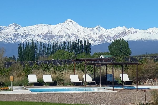 Seasonal outdoor pool, sun loungers