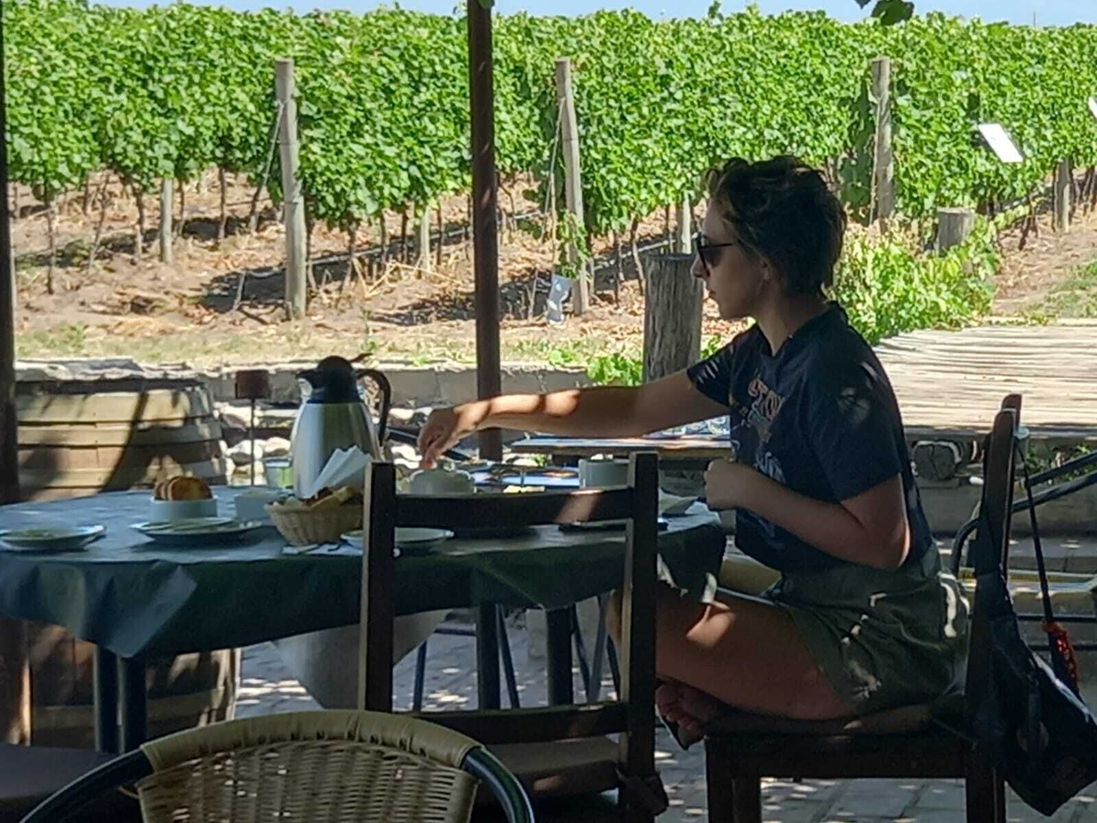 A person seated at an outdoor table with a view of a vineyard in the background.