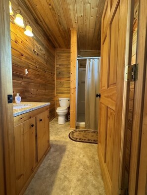 Regadera, secadora de cabello, toallas, jabón 