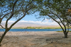 A river with a sandy shore and trees in the foreground.